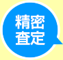 精密査定